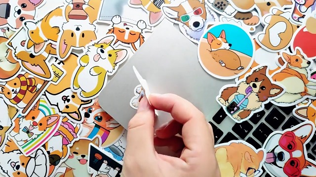 Amazon.co.jp: BINSNES ステッカーセット PVC材質 防水 再利用